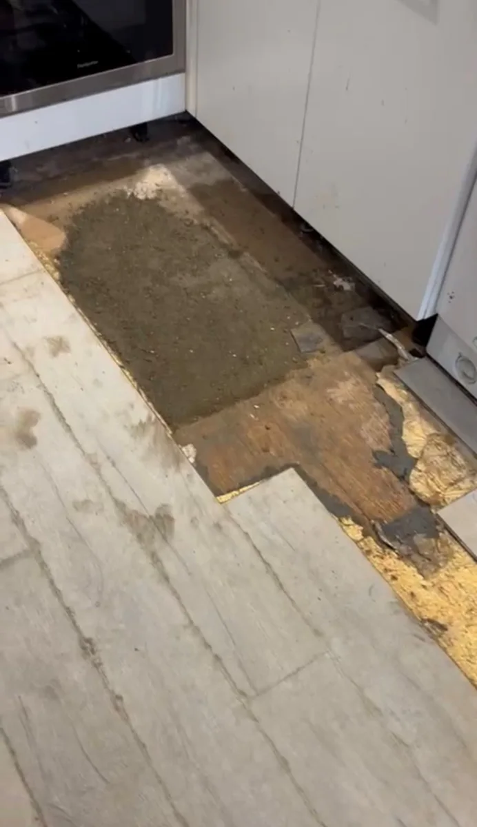 A floor-level access opening photographed during investigation.